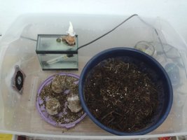 2013-08-17 17.27.24.jpg