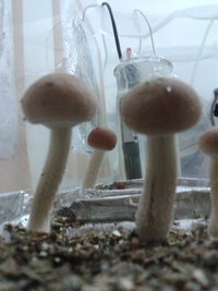 2013-08-17 17.38.17.jpg