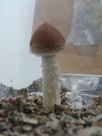 2013-08-17 17.38.43.jpg