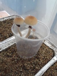 2013-08-20 09.30.15.jpg