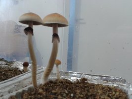 2013-08-20 09.31.05.jpg