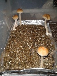 2013-08-20 09.36.05.jpg