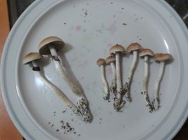 2013-08-20 09.41.51.jpg