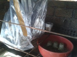 2013-08-21 08.50.48.jpg
