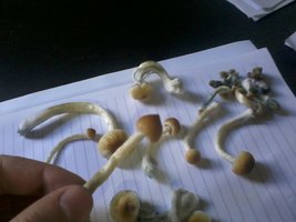 2013-08-19 15.37.56.jpg