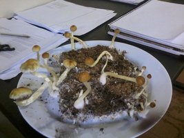 2013-08-20 11.32.16.jpg