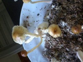 2013-08-20 11.32.23.jpg