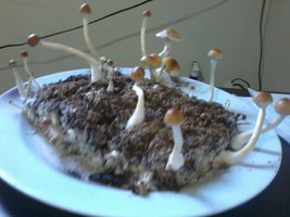 2013-08-20 11.32.30.jpg