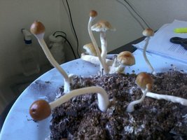 2013-08-20 11.32.34.jpg