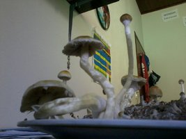 2013-08-20 11.32.51.jpg