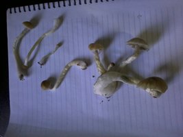 2013-08-20 11.36.47.jpg
