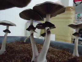 DSC03143.JPG