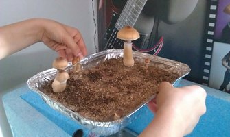 IMAG0916.jpg