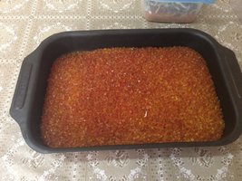 IMG_0988.JPG