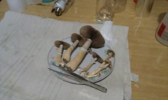 IMAG0927.jpg