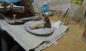 IMAG0924.jpg