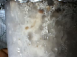 IMG_0728.JPG