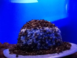 IMG_0751.JPG