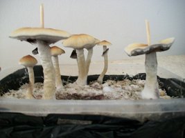 100_6123.JPG