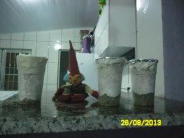 SAM_0987.JPG
