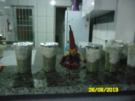 SAM_0991.JPG