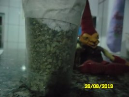 SAM_0993.JPG