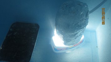 IMG_1437.jpg