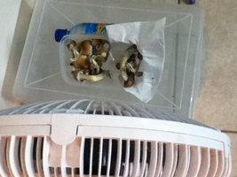 IMG_0858.JPG