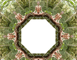ayahuasca_.jpg