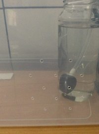 2013-09-02 21.45.19.jpg