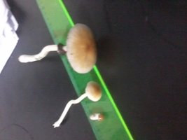 2013-09-02 10.53.45.jpg