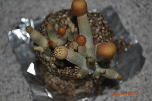 X7X-678139908-DSC_1326.jpg