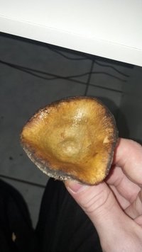 2013-09-03_17-20-14_387.jpg