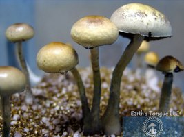 space-coast-florida10.jpg
