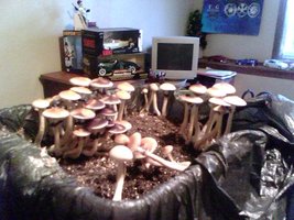RB-IMG01048.jpg