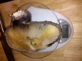 mystery-fatass11.jpg