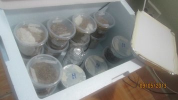 IMG_1523.jpg IMG_1523.jpg