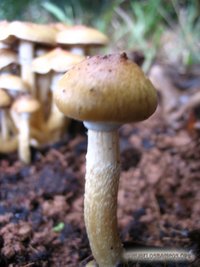 ecuador14.jpg