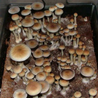 colorado01.jpg