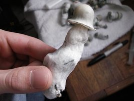 albino-penis-envy07.jpg
