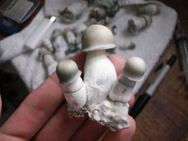 albino-penis-envy08.jpg
