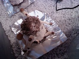 alacabenzi-1216081423a.jpg
