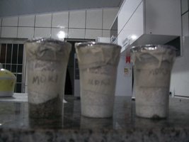 100_6010.JPG