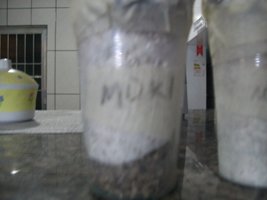 100_6012.JPG