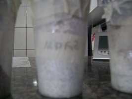 100_6013.JPG