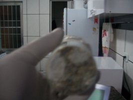 100_6019.JPG