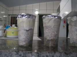 100_6024.JPG