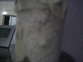 100_6029.JPG