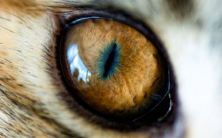mordor_eye-wide.jpg