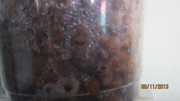 IMG_1548.jpg